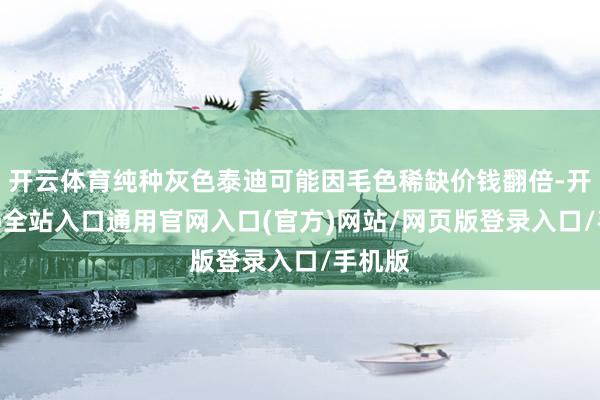 开云体育纯种灰色泰迪可能因毛色稀缺价钱翻倍-开运app全站入口通用官网入口(官方)网站/网页版登录入口/手机版