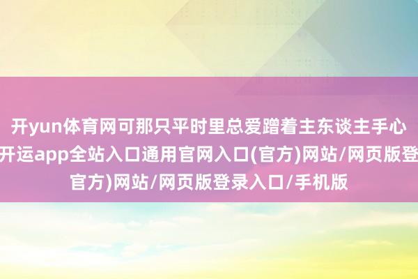 开yun体育网可那只平时里总爱蹭着主东谈主手心求摸摸的猫咪-开运app全站入口通用官网入口(官方)网站/网页版登录入口/手机版